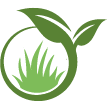 Tracy Lawn Clean Up