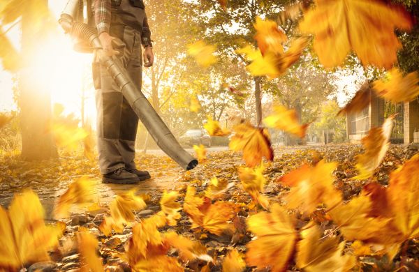 Cost of Leaf Blowing Service in Tracy