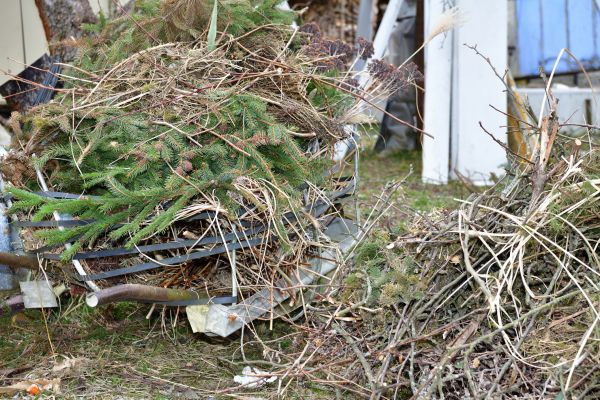 Cost of Yard Debris Removal in Tracy