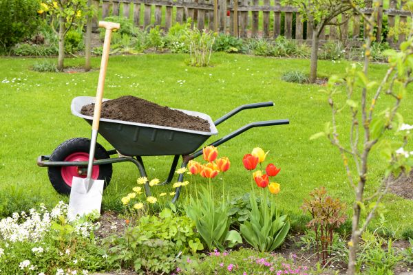Cost of Spring Yard Cleanup in Tracy