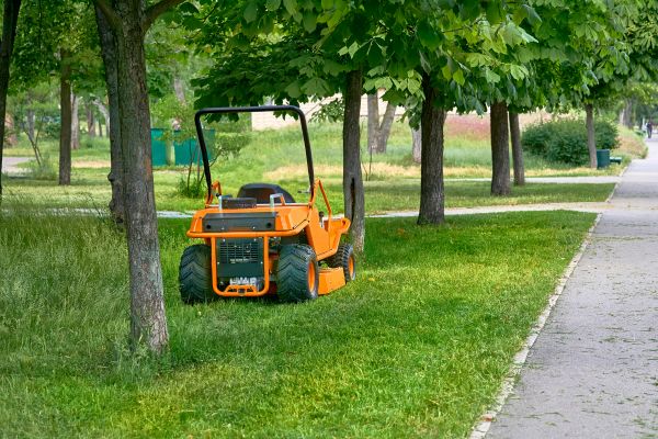 Cost of Landscaping Cleanup Service in Tracy