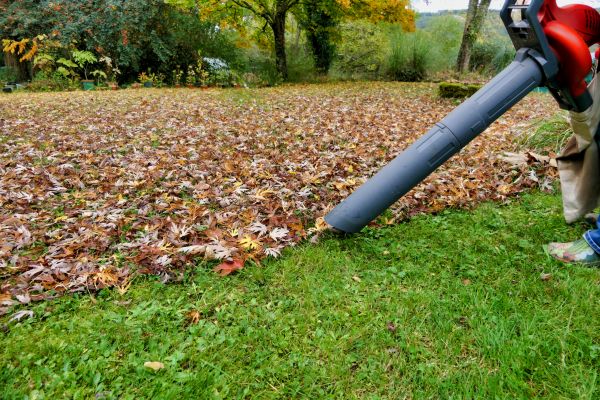 Cost of Leaves Vacuuming in Tracy