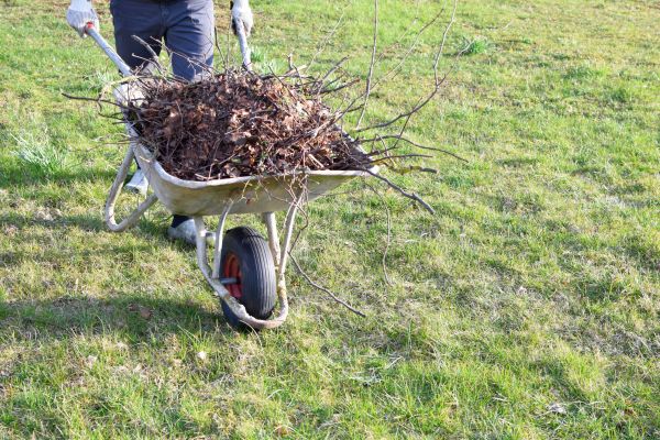 Cost of Yard Brush Removal in Tracy