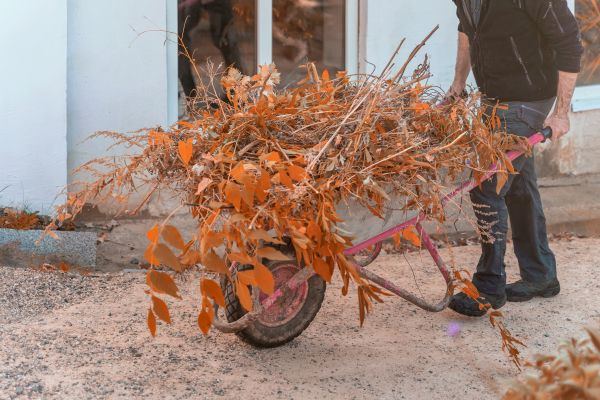 Cost of Lawn Debris Cleanup in Tracy