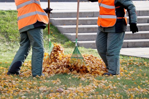 Cost of Leaf Hauling Service in Tracy