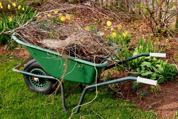 Cost of Lawn Waste Removal in Tracy