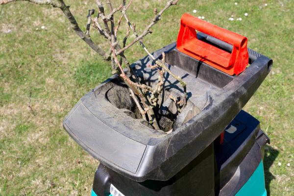 Cost of Brush Cleanup Service in Tracy