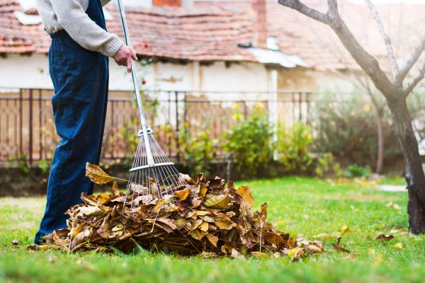 Cost of Fall Yard Cleanup Service in Tracy