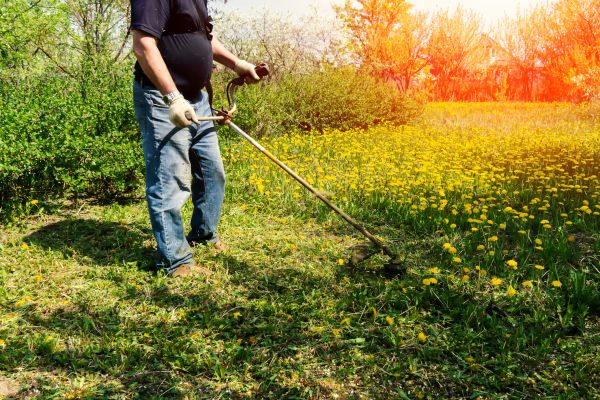 Cost of Yard Clearing Service in Tracy
