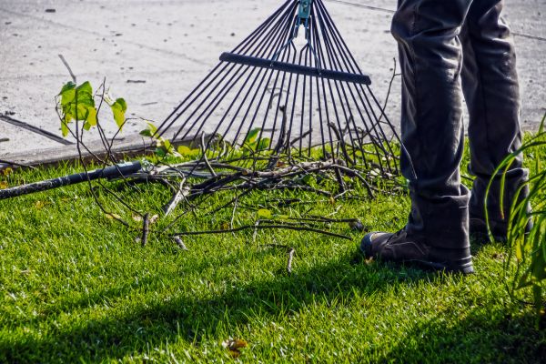 Cost of Yard Debris Cleanup in Tracy