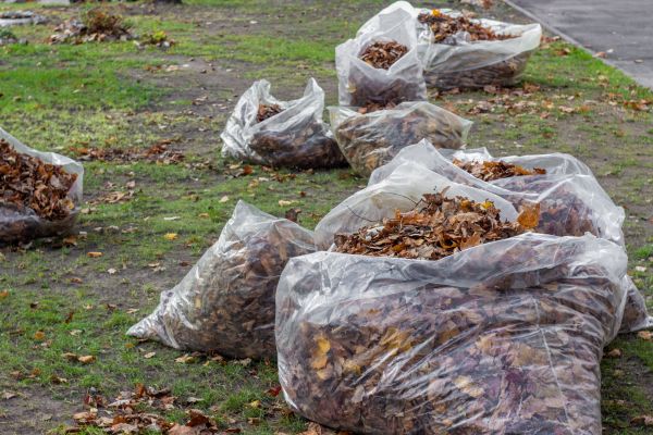 Cost of Leaf Pile Disposal in Tracy