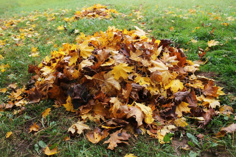 Autumn Leaves Covering Lawns