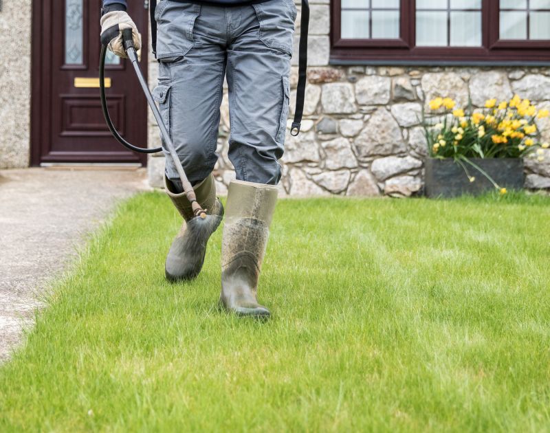 Tracy's Local Lawn Experts